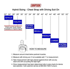 Simpson Hybrid Head Restraint